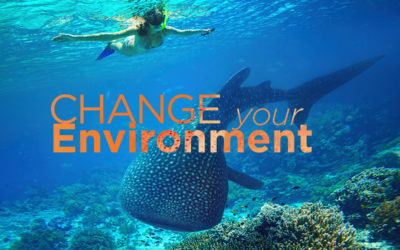Change Your Environment￼